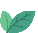 برگ