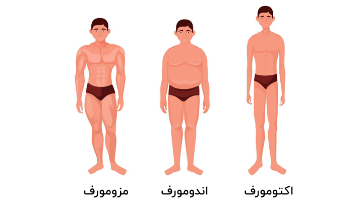 انواع تیپ بدنی در زنان و مردان 1 بررسی تیپ بدنی زنان و مردان بر اساس فیزیک