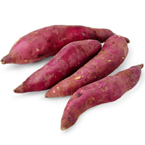ترکیبات کپسول لاغری ادیوس طلایی چیست و چه کاری می کند؟ 2 Sweet Potato Fiber