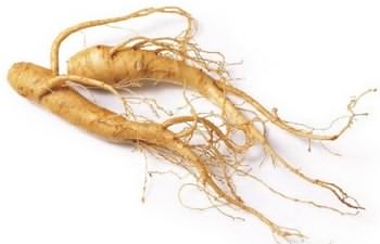 قرص مگنارکس اکسترا پلاس (مگنارکس یا مگناریکس) MagnaRx 9 ریشه جنسینگ آسیایی یا Asian Ginseng (root)