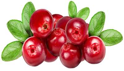 قرص سوپر فت فیس اکسترا uper Fat Face Extra 4 Cranberry Extract (seed)