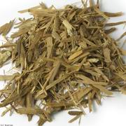 ترکیبات قرص وای مکس vimax با عکس و توضیحات کامل وایمکس 10 Erythroxylum catuaba plant
