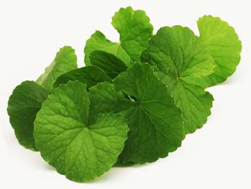 قرص سوپر فت فیس اکسترا uper Fat Face Extra 5 Gotu Kola Extract (leaf)