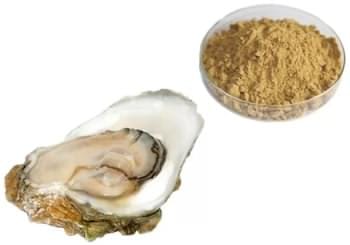قرص مگنارکس اکسترا پلاس (مگنارکس یا مگناریکس) MagnaRx 8 پودر Oyster Meat در قرص مگناریکس اکسترا پلاس