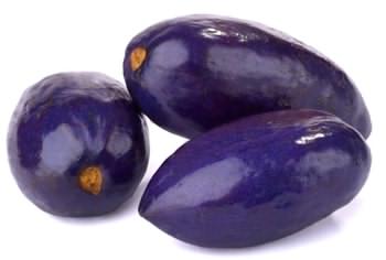 قرص مگنارکس اکسترا پلاس (مگنارکس یا مگناریکس) MagnaRx 4 Pygeum bark اولین ترکیب قرص مگنارکس اکسترا پلاس
