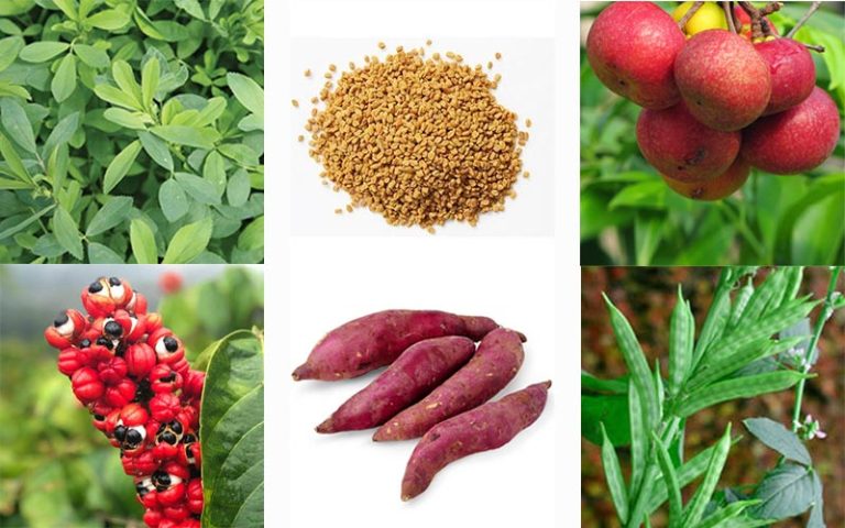ترکیبات قرص لاغری ادیوس