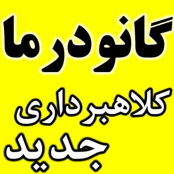 عوارض قهوه و قارچ گانودرما