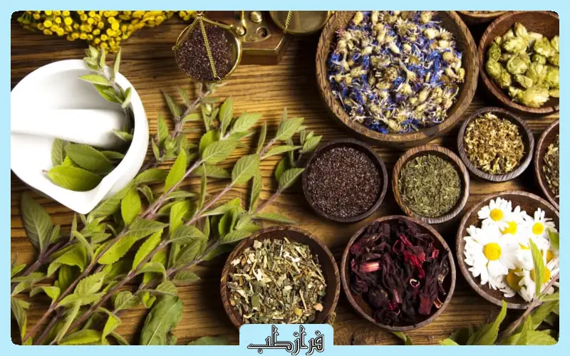 ترکیبات گیاهی پر کاربرد در قرص های لاغری مدرن 1 ترکیبات گیاهی پر کاربرد در قرص های لاغری