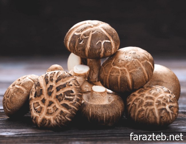 کپسول کینوکو بالای 50 سال 500mg 5 خواص قارچ شیتاکه و AHCC در تقویت ایمنی بدن