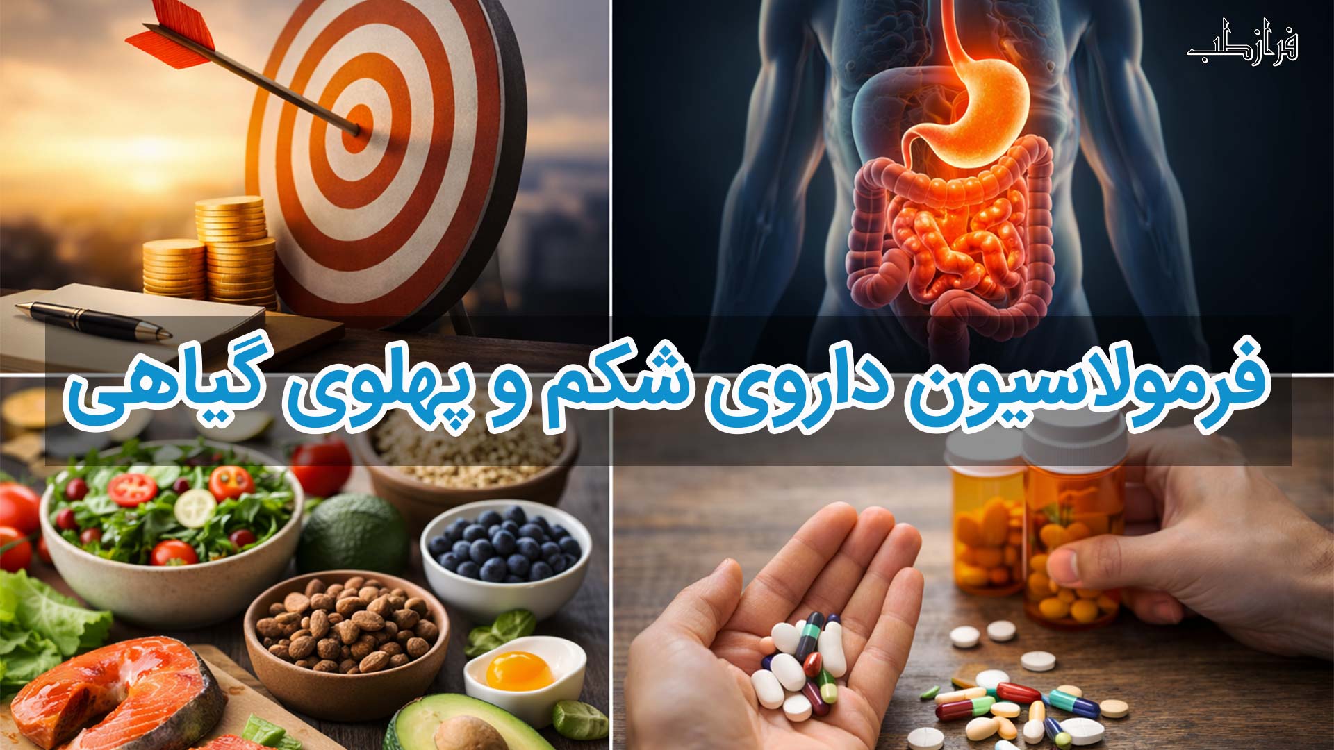 فرمولاسیون داروی شکم و پهلوی گیاهی