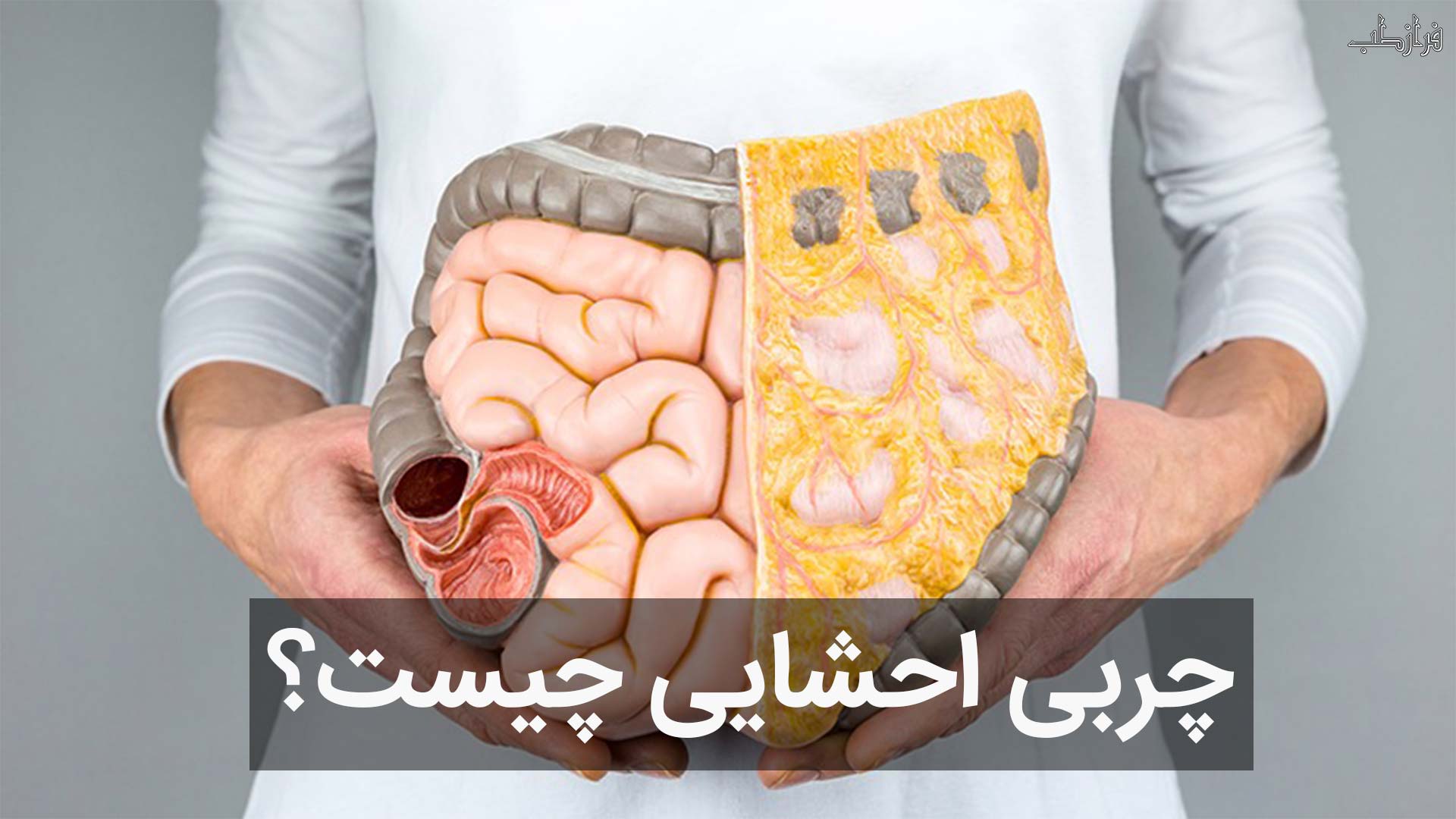 چربی احشایی چیست؟