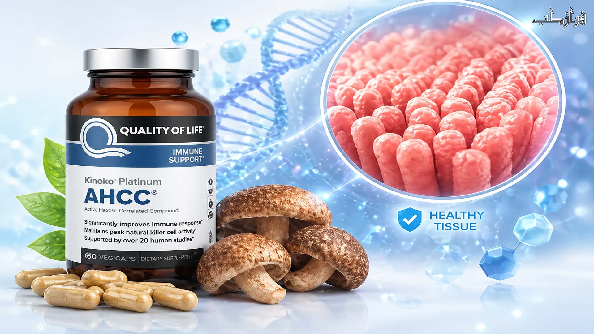 قرص Ahcc زگیل تناسلی چیست؟