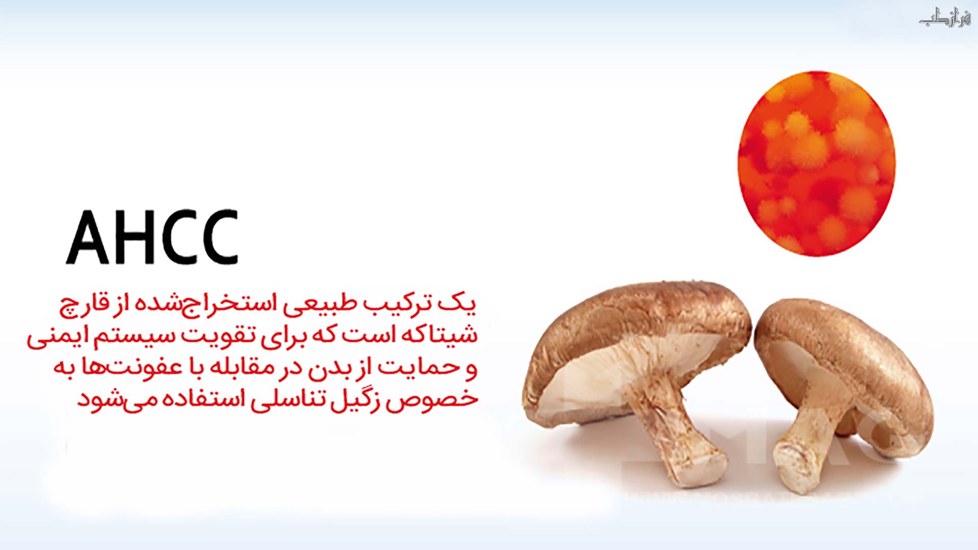 قرص ahcc برای تقویت سیستم ایمنی