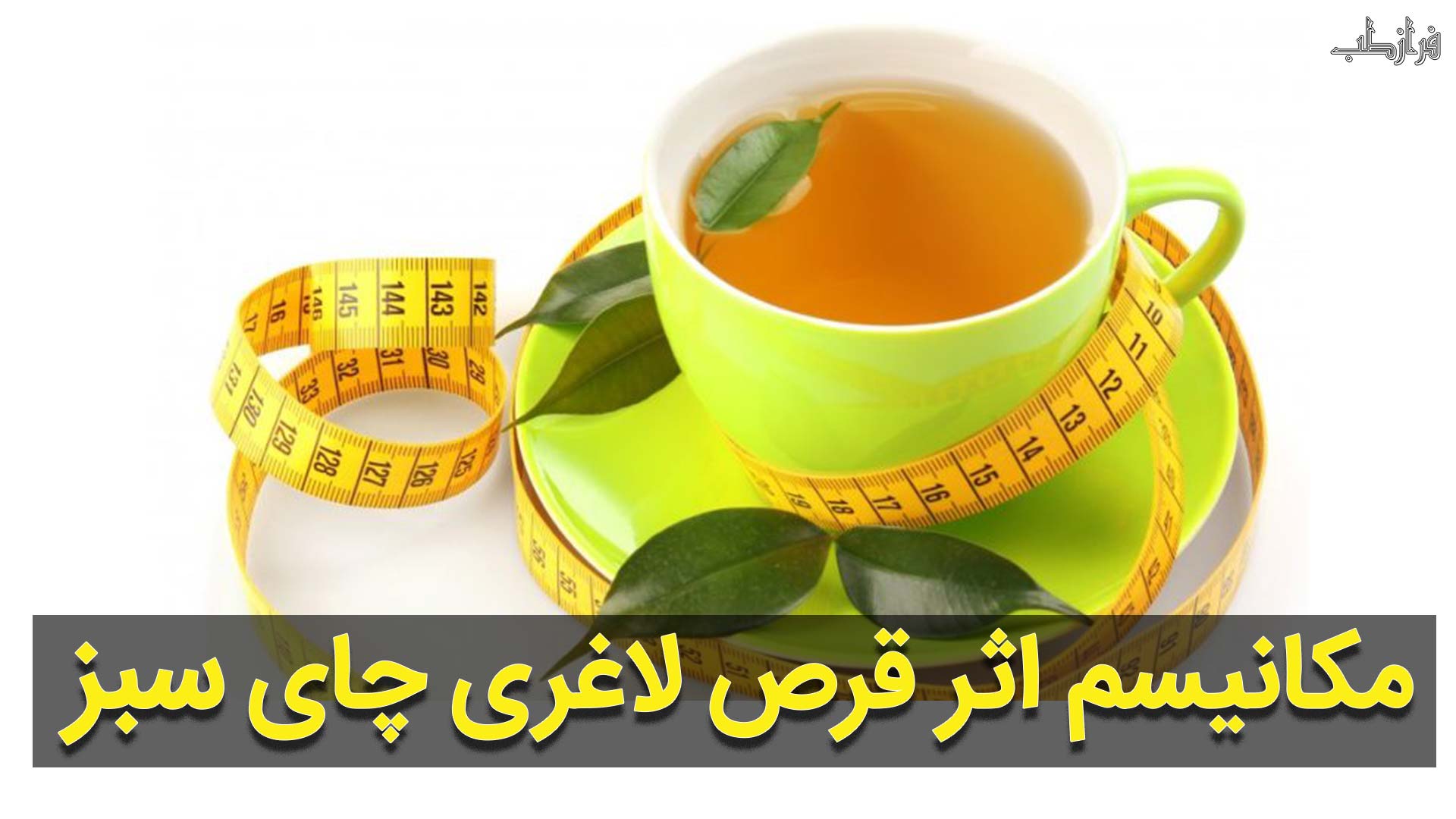 تاثیر قرص لاغری چای سبز بر مکانیسم چربی سوزی