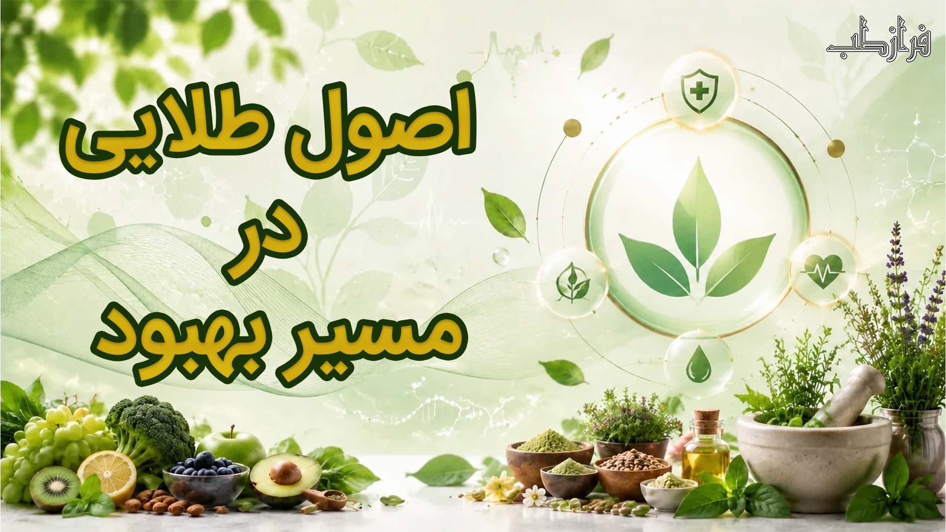 اصول طلایی در مسیر بهبود