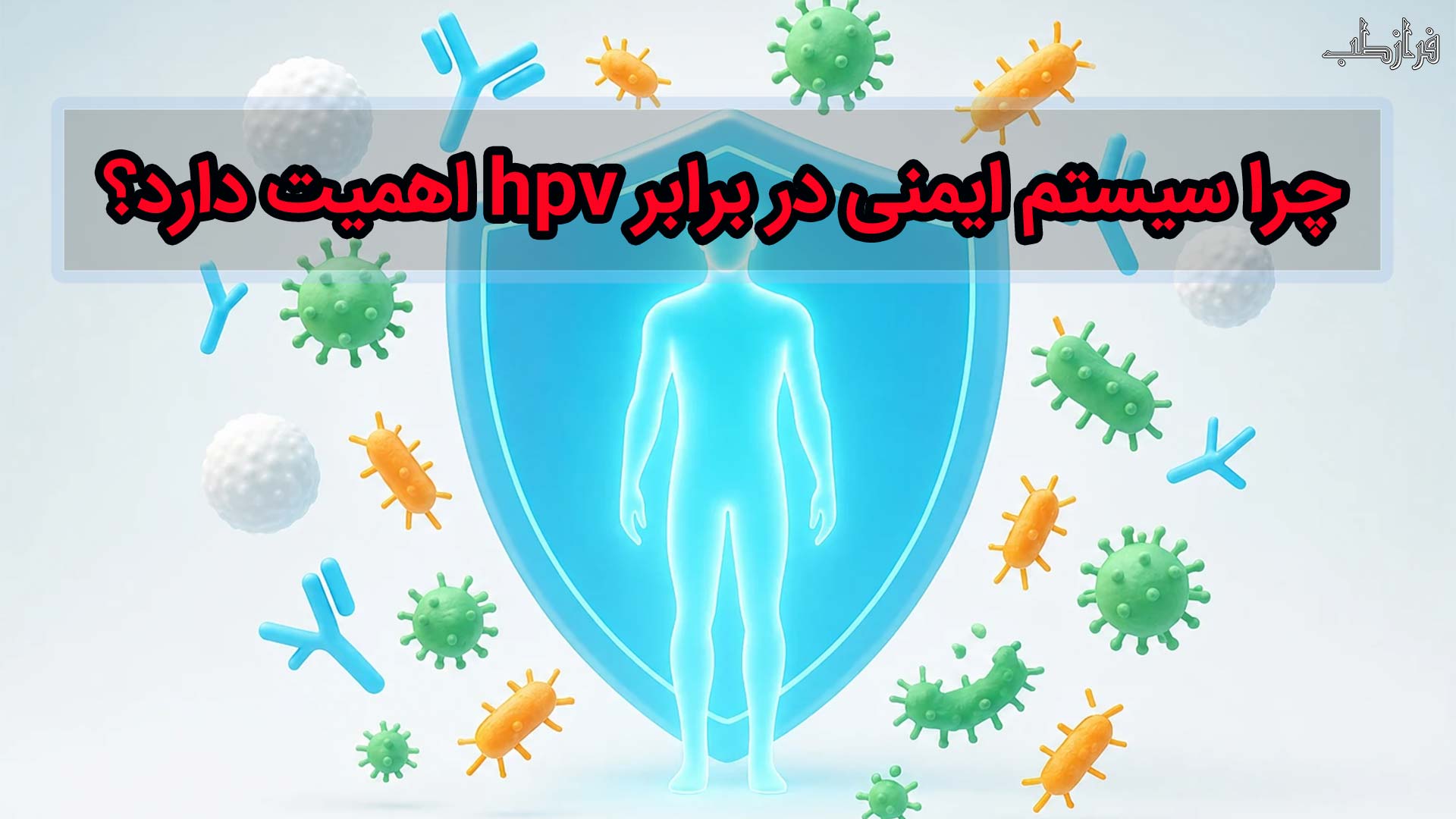 اهمیت دارد؟ hpv چرا سیستم ایمنی در برابر