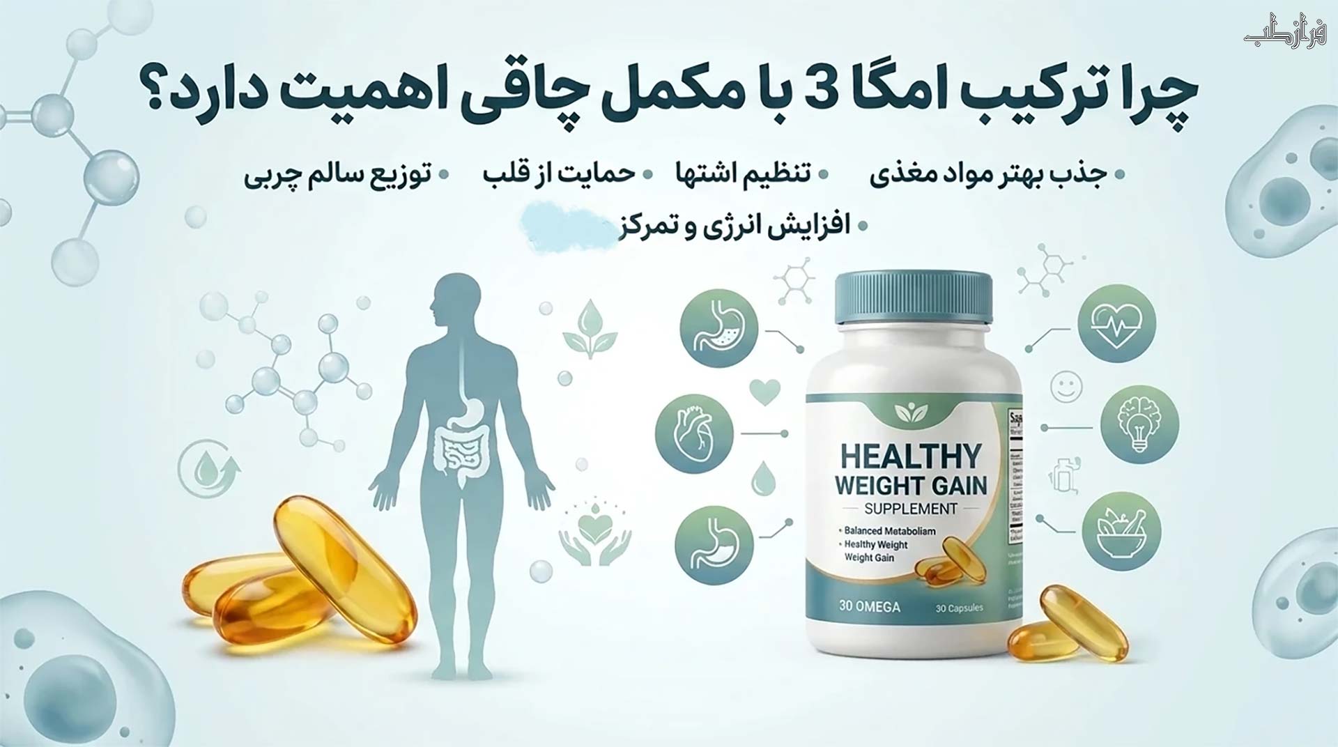تاثیر امگا 3 در کنار مکمل چاقی برای بهبود جذب مواد مغذی