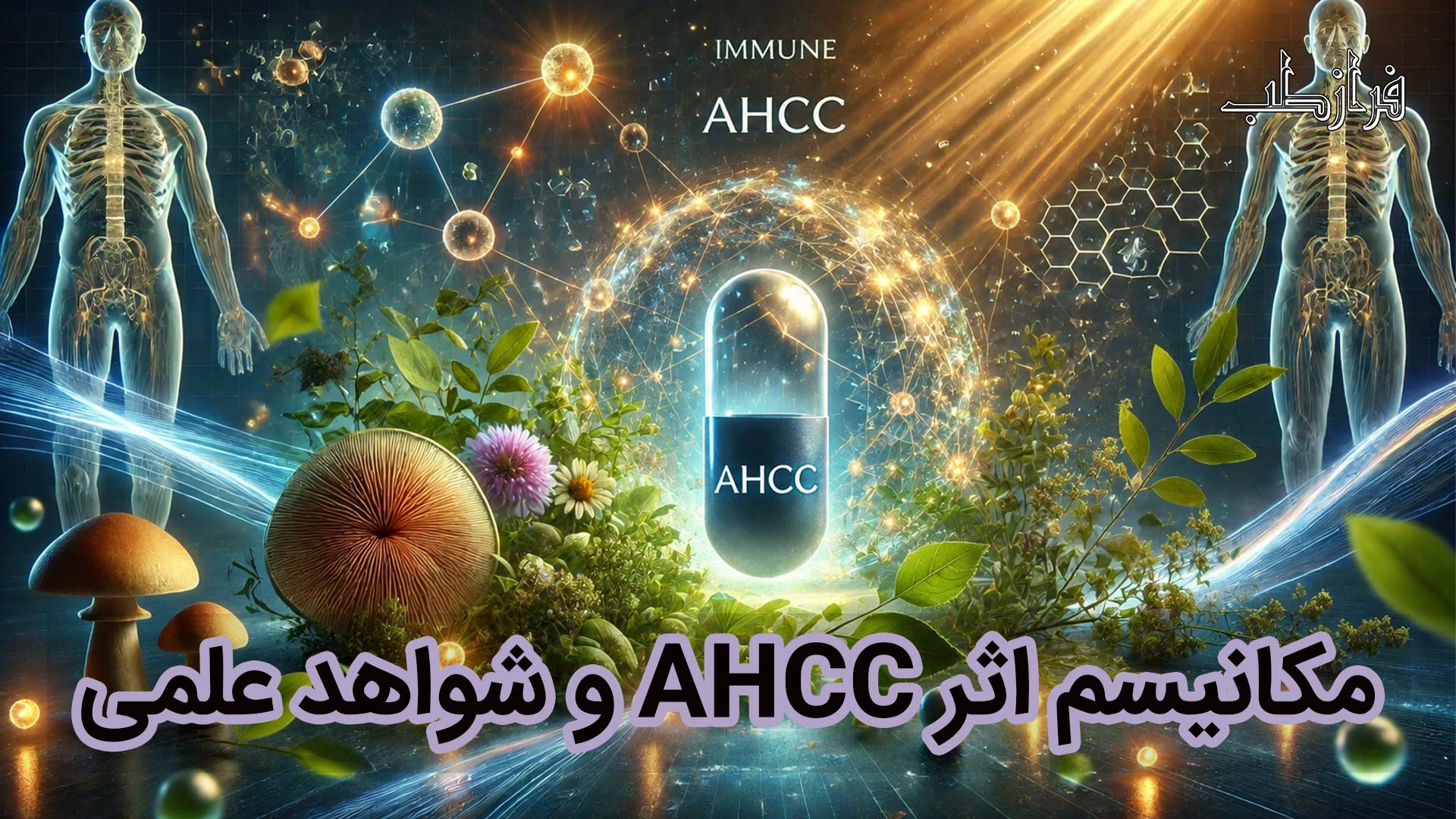مکانیسم اثر AHCC و شواهد علمی