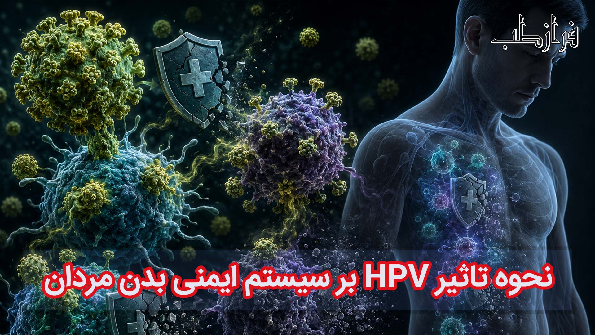 نحوه تأثیر HPV بر سیستم ایمنی بدن مردان