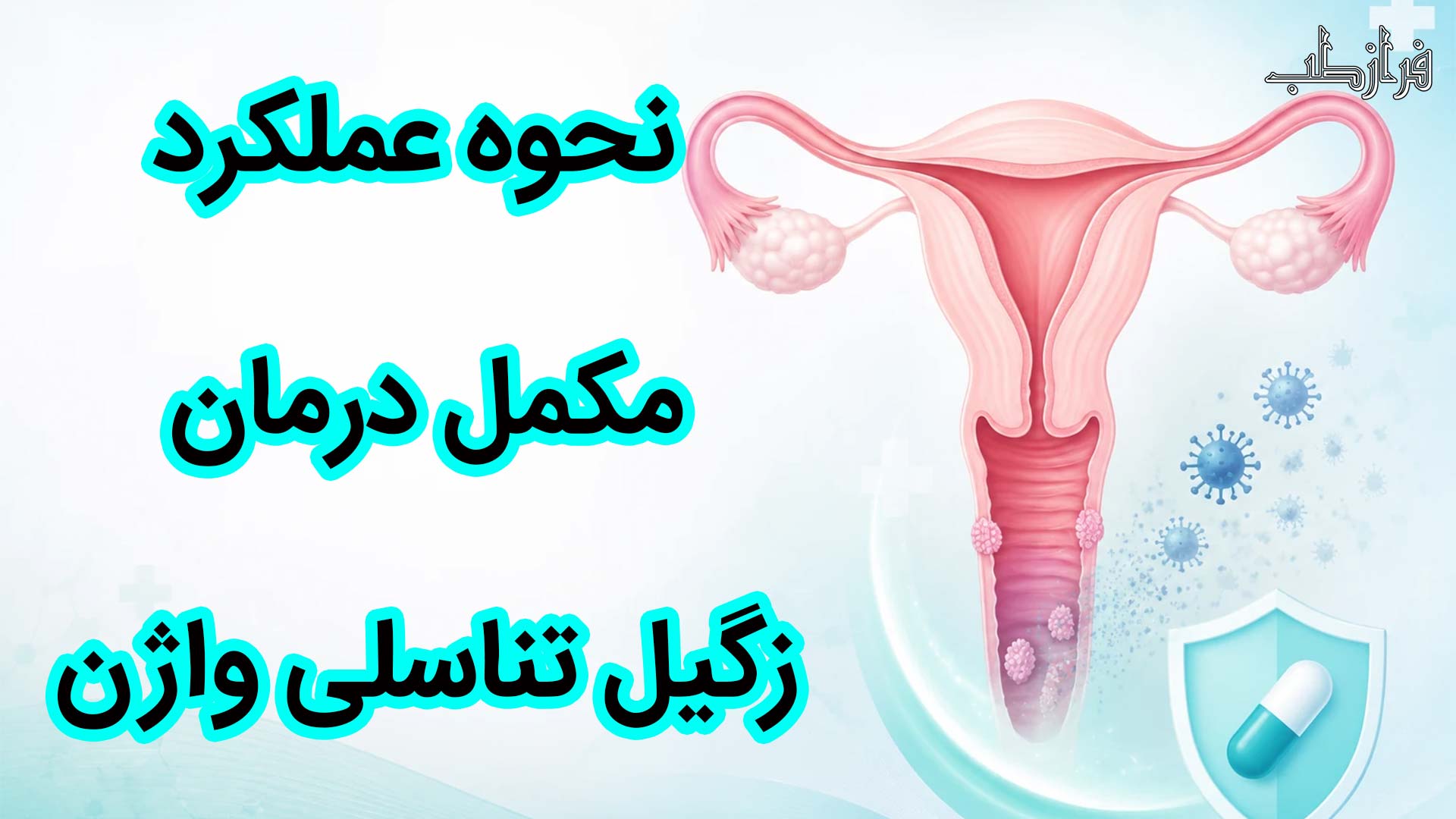 نحوه عملکرد مکمل درمان زگیل تناسلی واژن