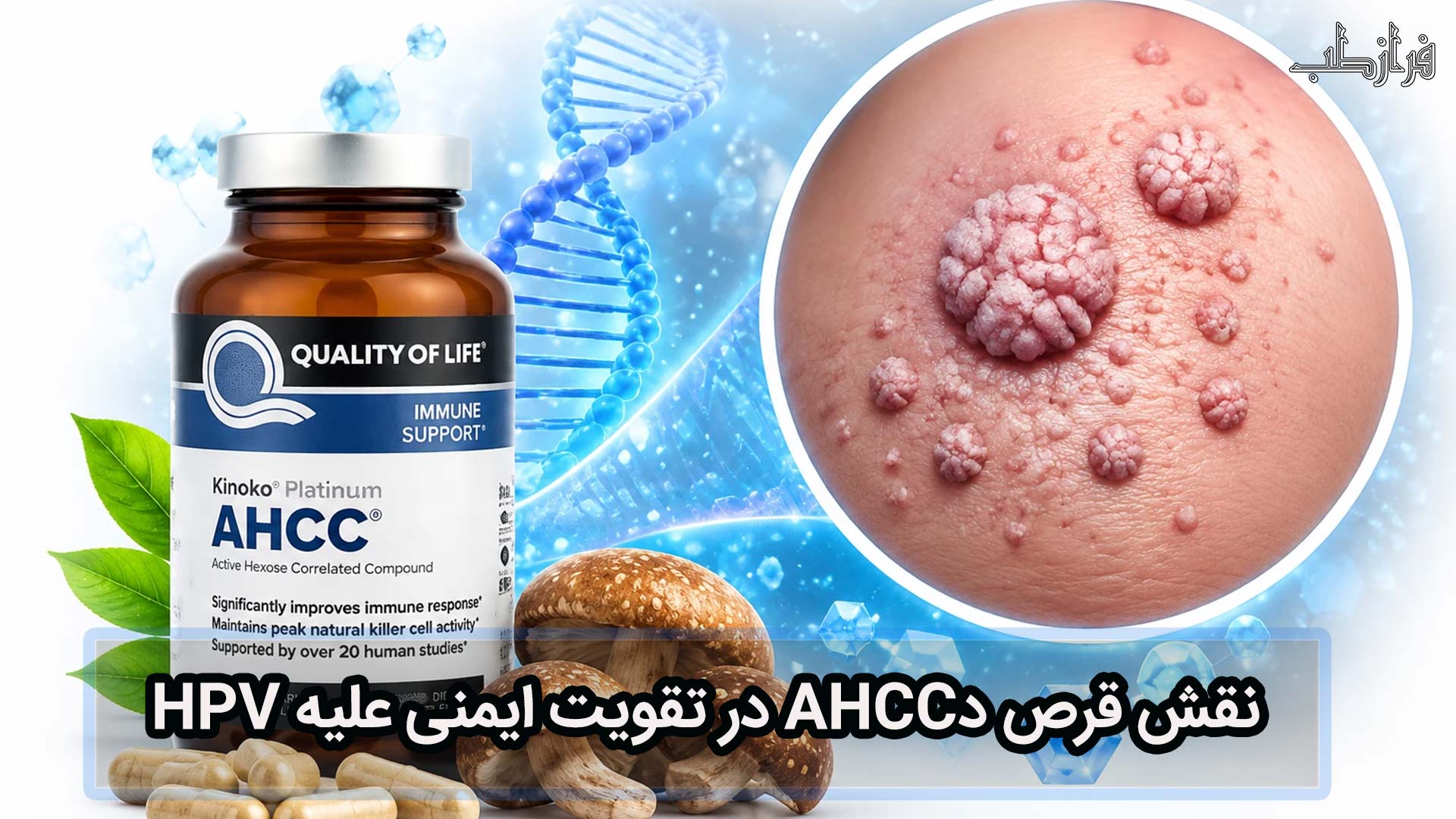 نقش قرص AHCC در تقویت ایمنی علیه HPV