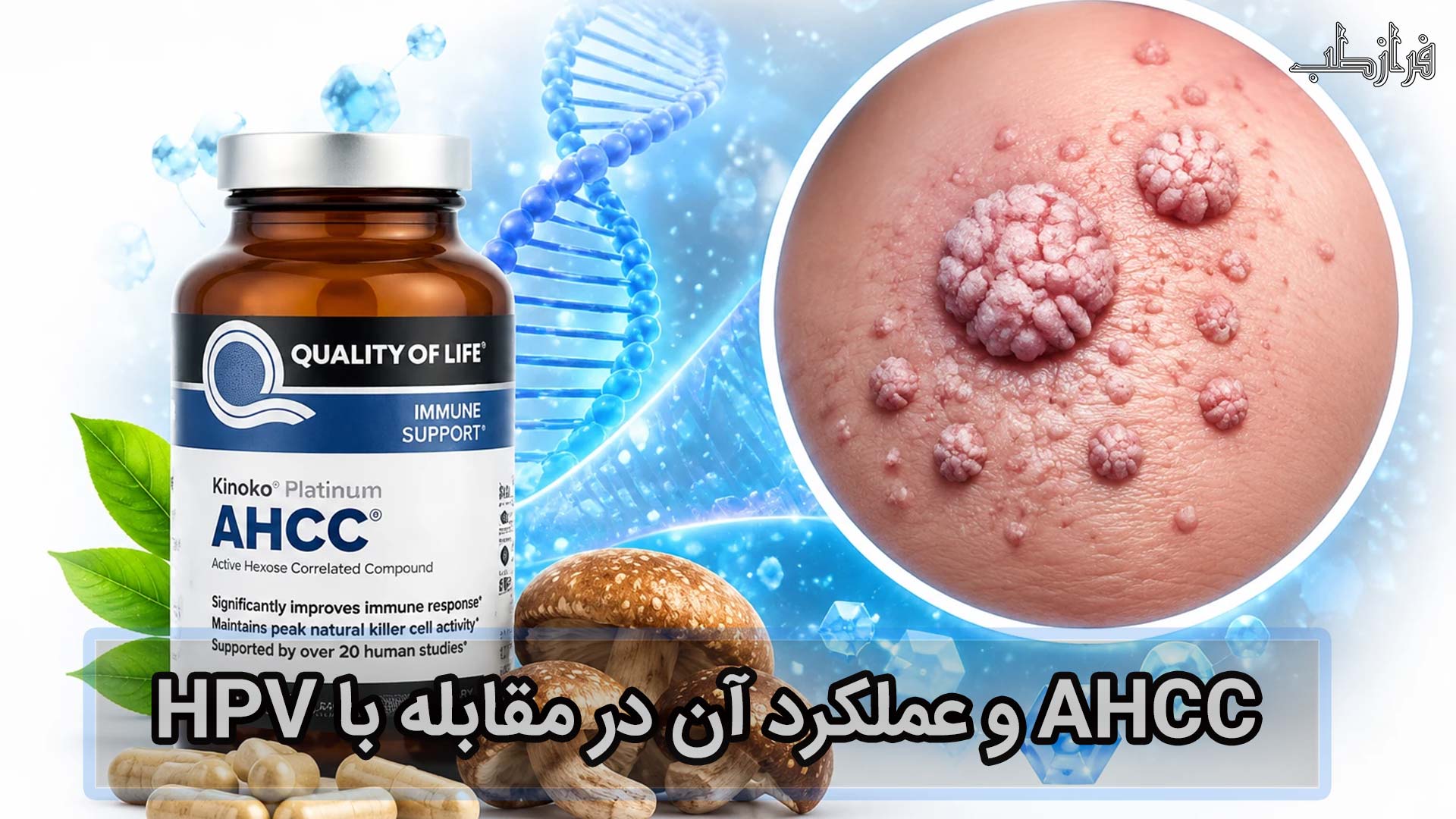 AHCC و عملکرد ان در مقابله با HPV
