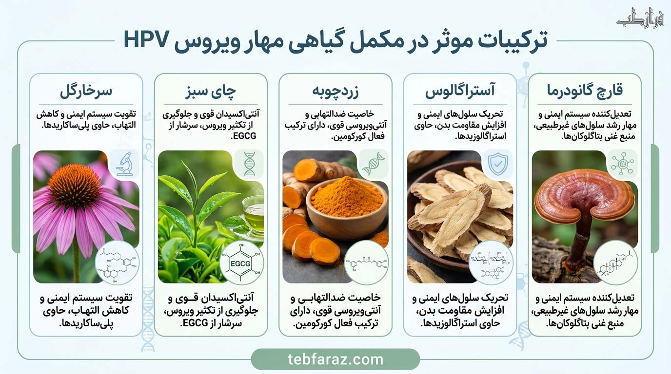 ترکیبات موثر در مکمل گیاهی مهار ویروس HPV
