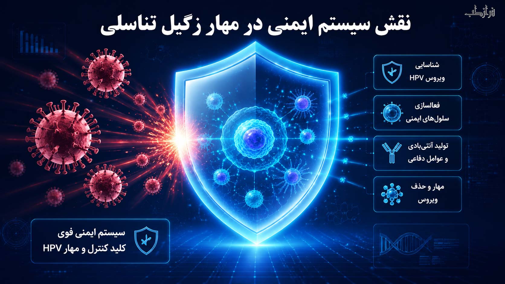 نقش سیستم ایمنی در مهار زگیل تناسلی و مهار ویروس HPV