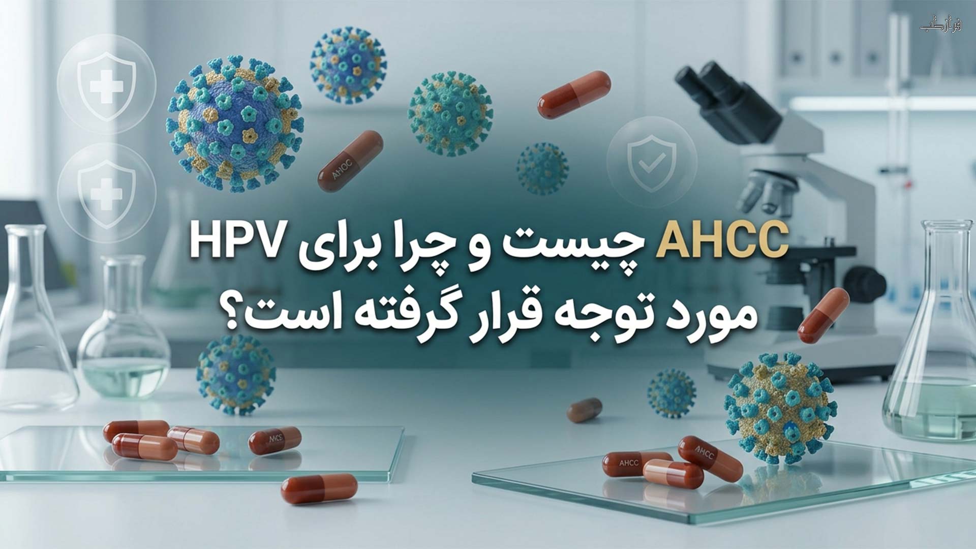 نسل کشی تبخال و زگیل تناسلی با یک نسخه قرص AHCC 1 AHCC چیست و چرا برای HPV مورد توجه قرار گرفته است؟