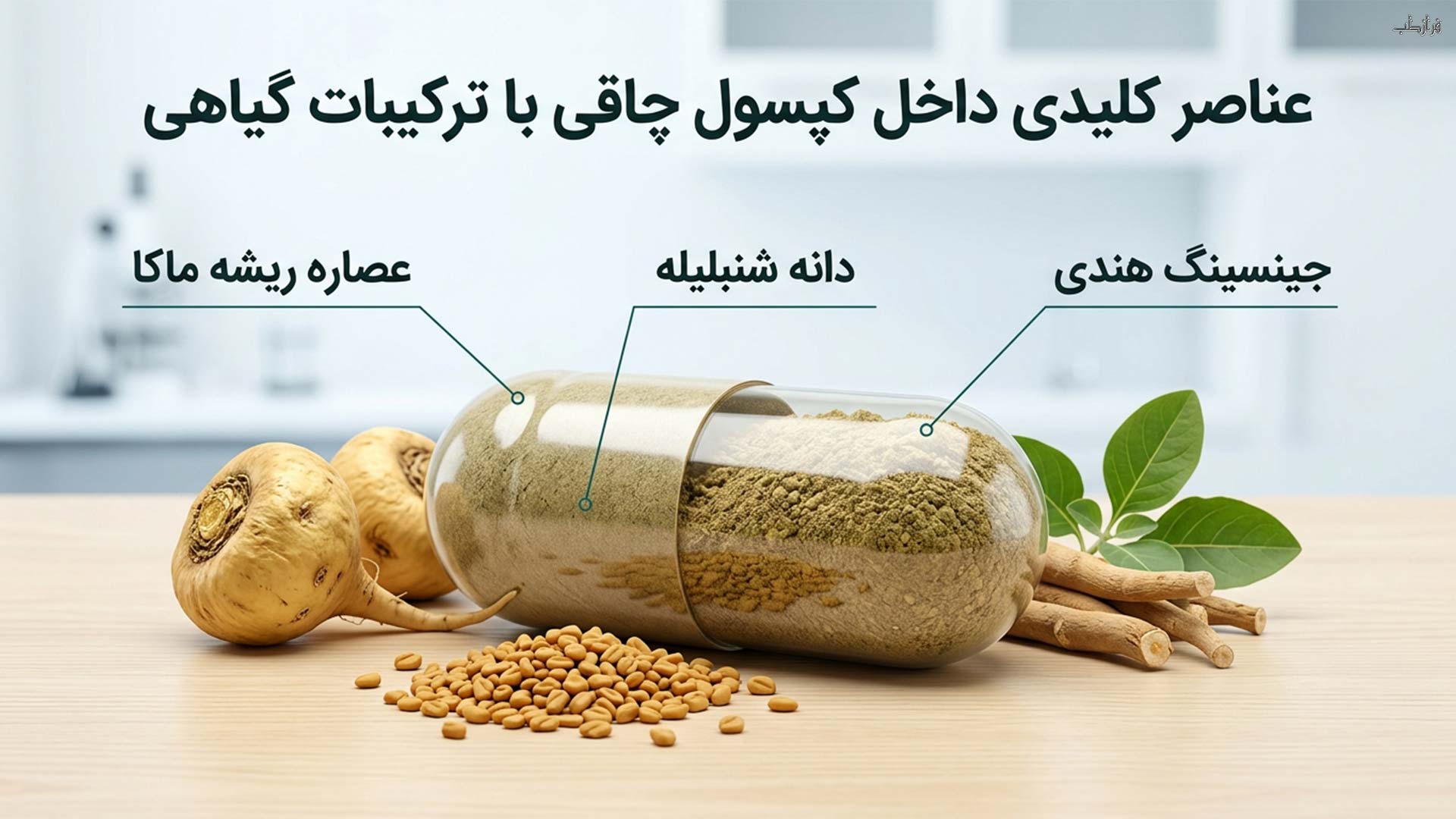 عناصر کلیدی داخل کپسول چاقی با ترکیبات گیاهی