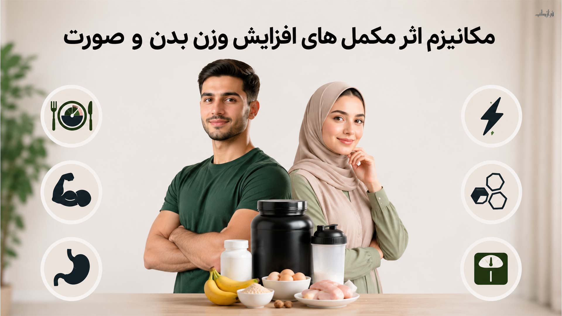 مکانیزم اثر مکمل های افزایش وزن بدن و صورت