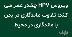 ویروس HPV چقدر عمر می کند؛ تفاوت ماندگاری در بدن با ماندگاری در محیط