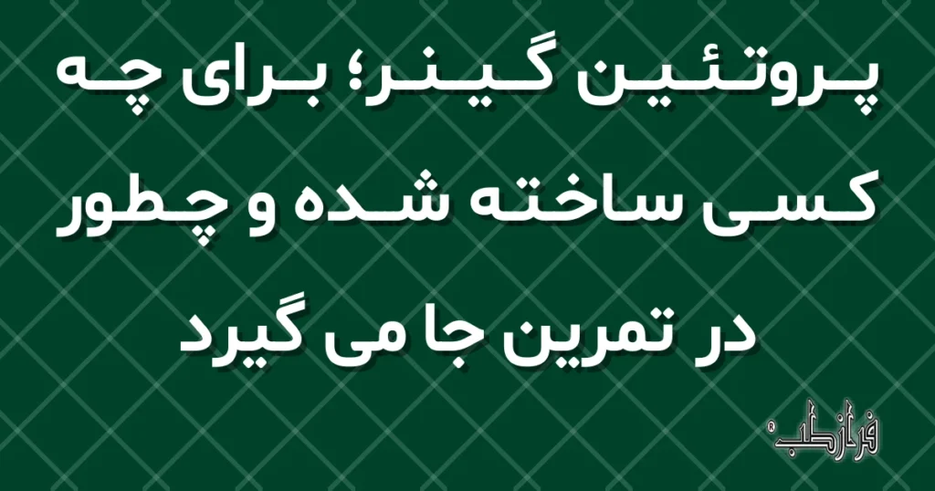 پروتئین گینر؛ برای چه کسی ساخته شده و چطور در تمرین جا می گیرد