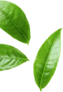 برگ