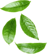 برگ