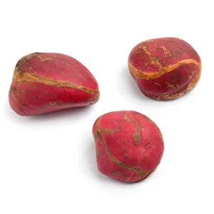 Tuckahoe Kola