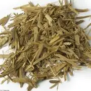 ترکیبات قرص وای مکس vimax با عکس و توضیحات کامل وایمکس 10 Erythroxylum catuaba plant