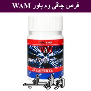 قرص وم پاور WAM
